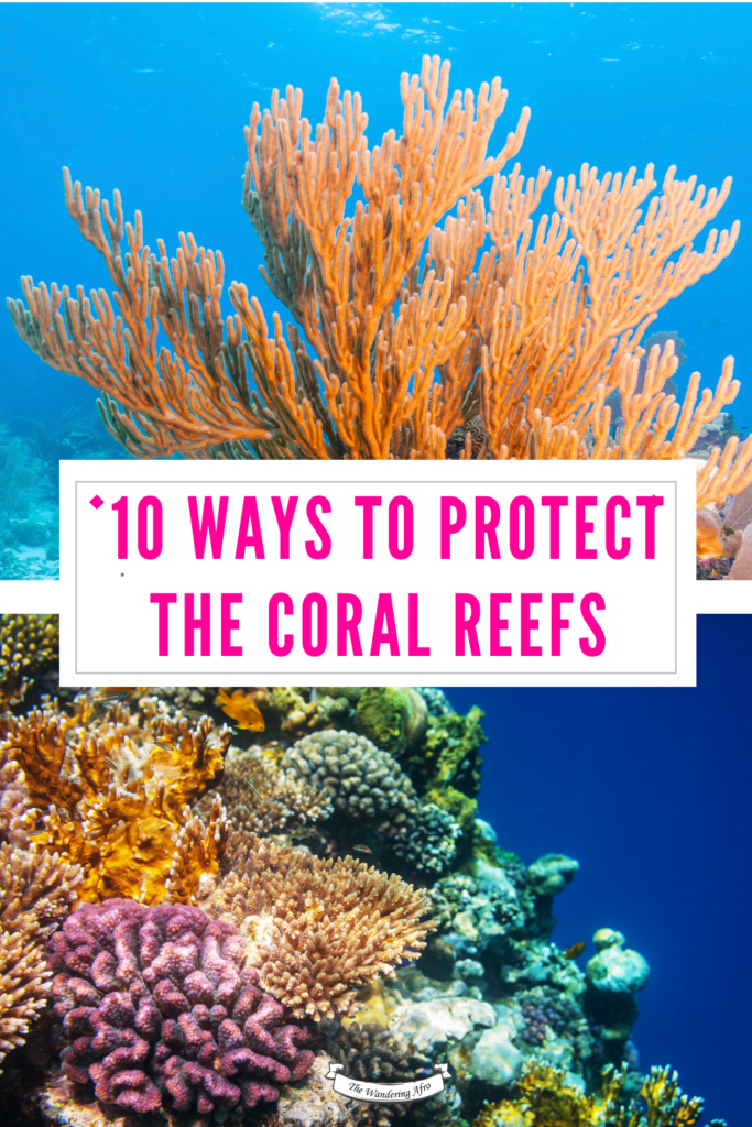 Pinterest pin of the coral reef and text that says how to protect coral reefs