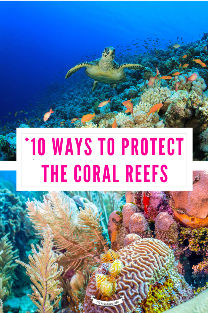 Pinterest pin of the coral reef and text that says how to protect coral reefs