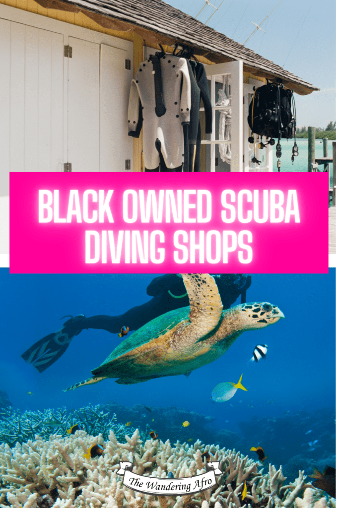 Pinterest pin says " Black Owned Scuba Diving Shops"