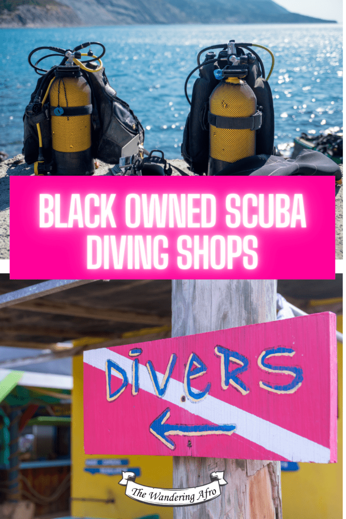 Pinterest pin says " Black Owned Scuba Diving Shops"