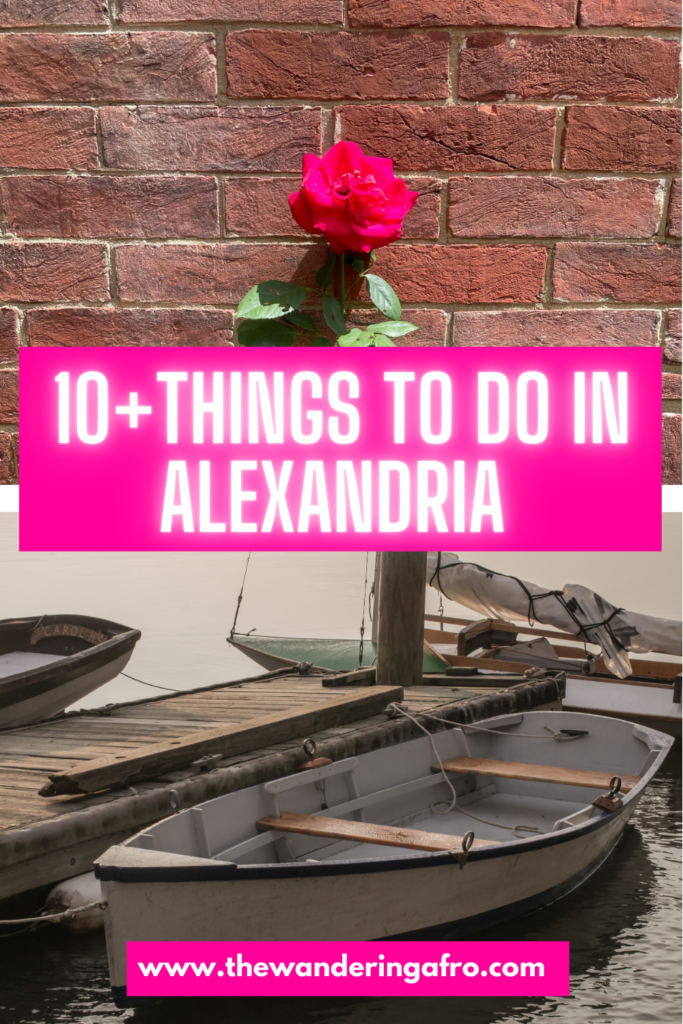 Text says 10 + Things to do in Alexandria. Top photo is a rose in front of a brick wall. The bottom photo is of a small docked canoe