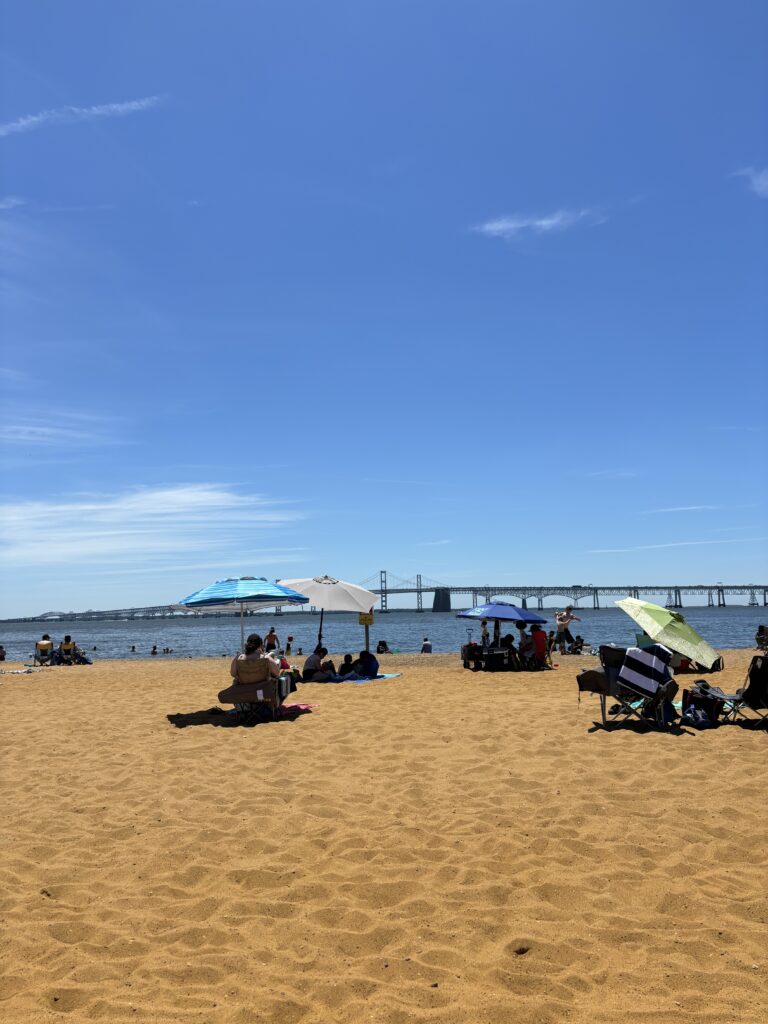 beach visitors at Sandy Point Beach, a beach near DC