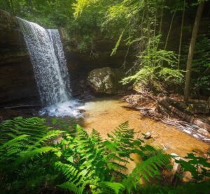 Cucumber waterfalls is surrounded by green vegetation