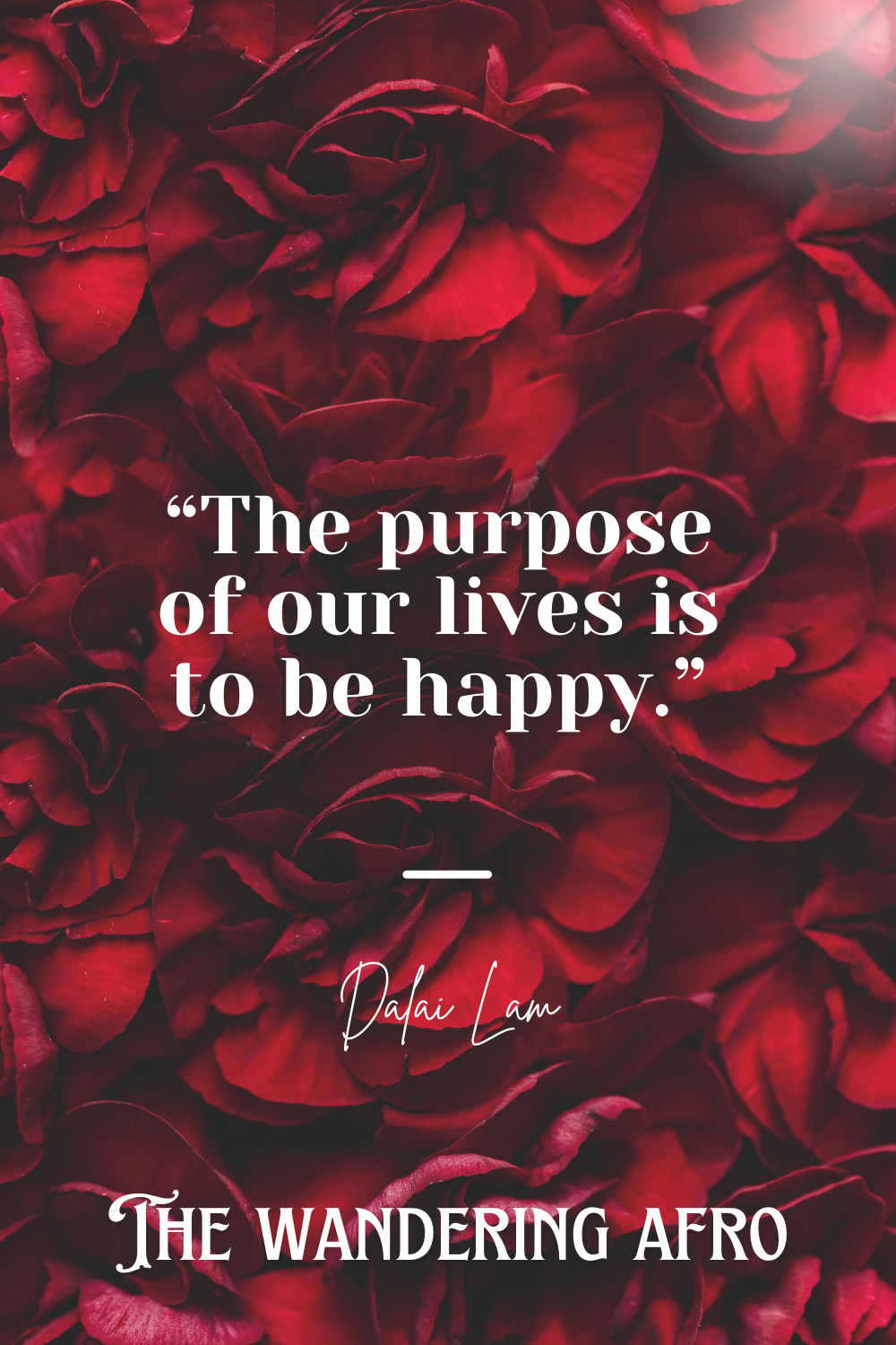 Red roses in background with text that reads, " The purpose of our lives is to be happy. by Dalai Lam