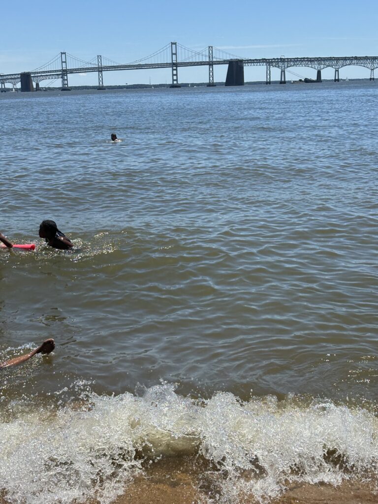 people swimming at Sandy Point Beach, a beach near DC