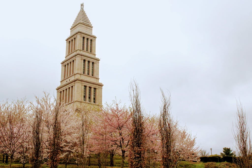 Low angle of aged famous stone building with rectangular windows and ribbed cone roof surrounded by blossoming trees on green field under sky in daylight