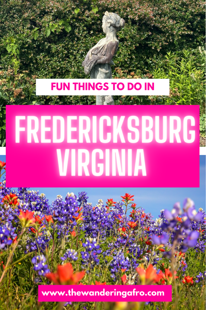 Pinterest pin that says "Fun things to do in Fredericksburg".