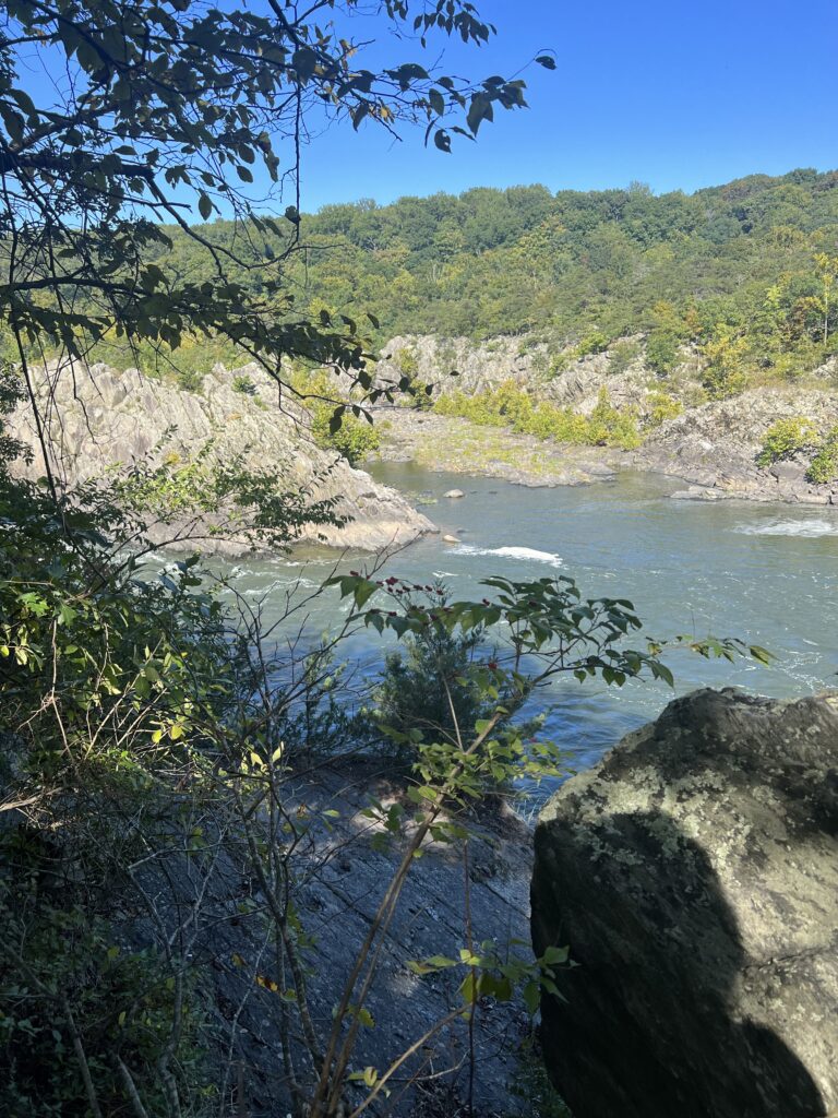river gorge in Great Falls Park