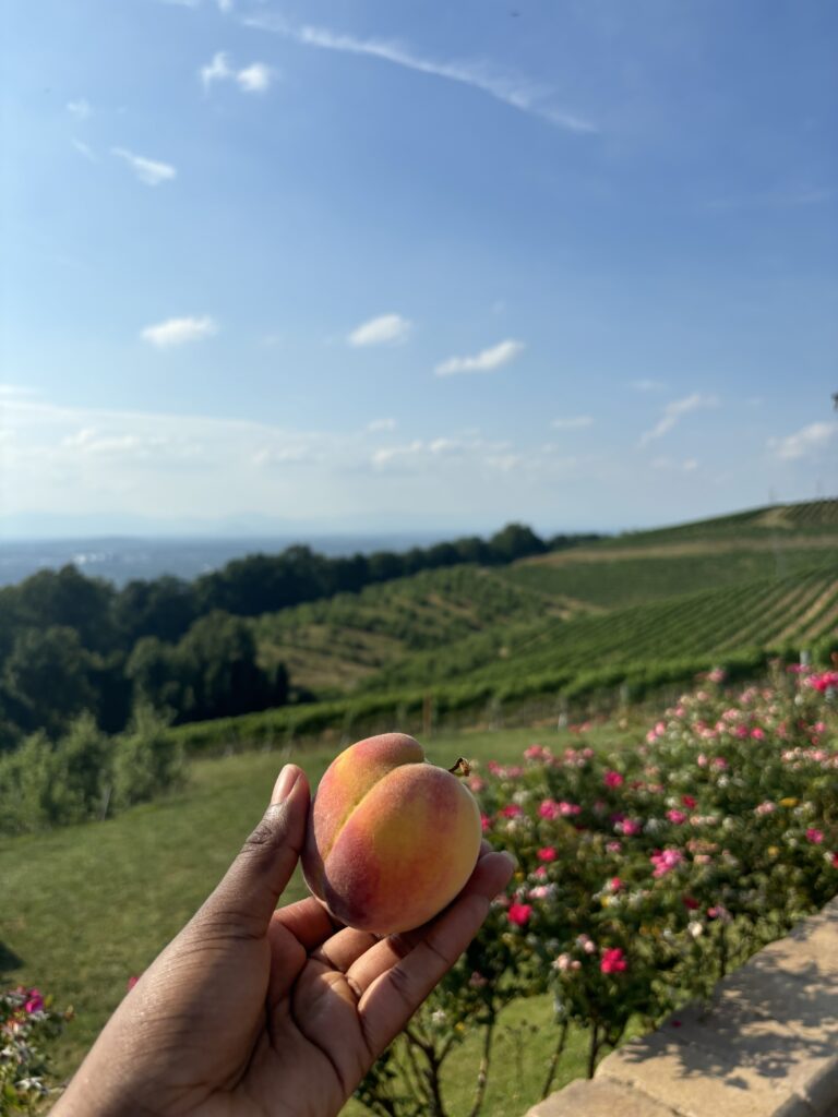 a Black woman holding a peach with the view of mountain in the background