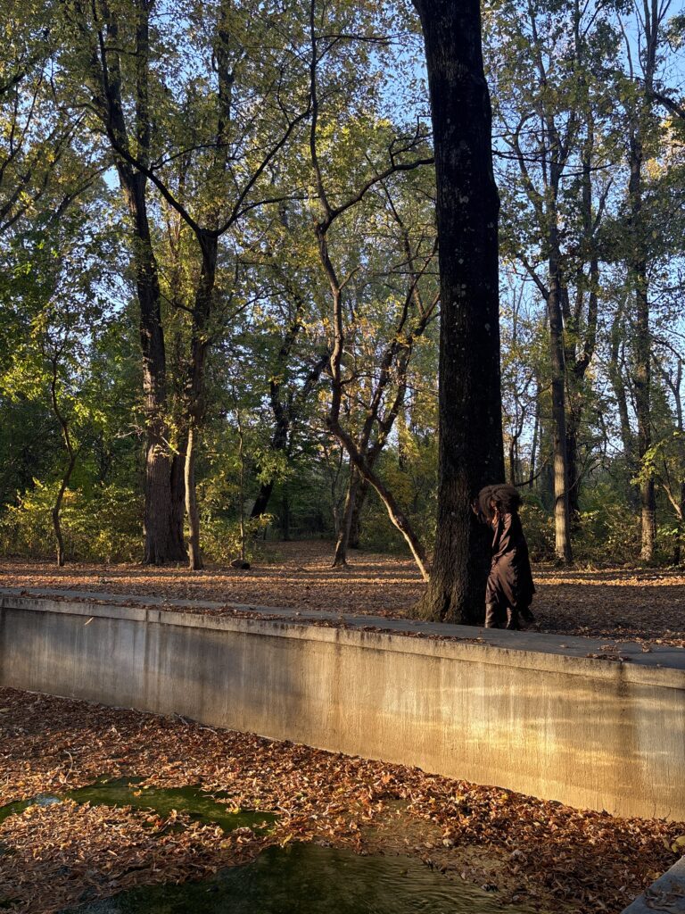 Black woman in Roosevelt National Park in DC during the fall