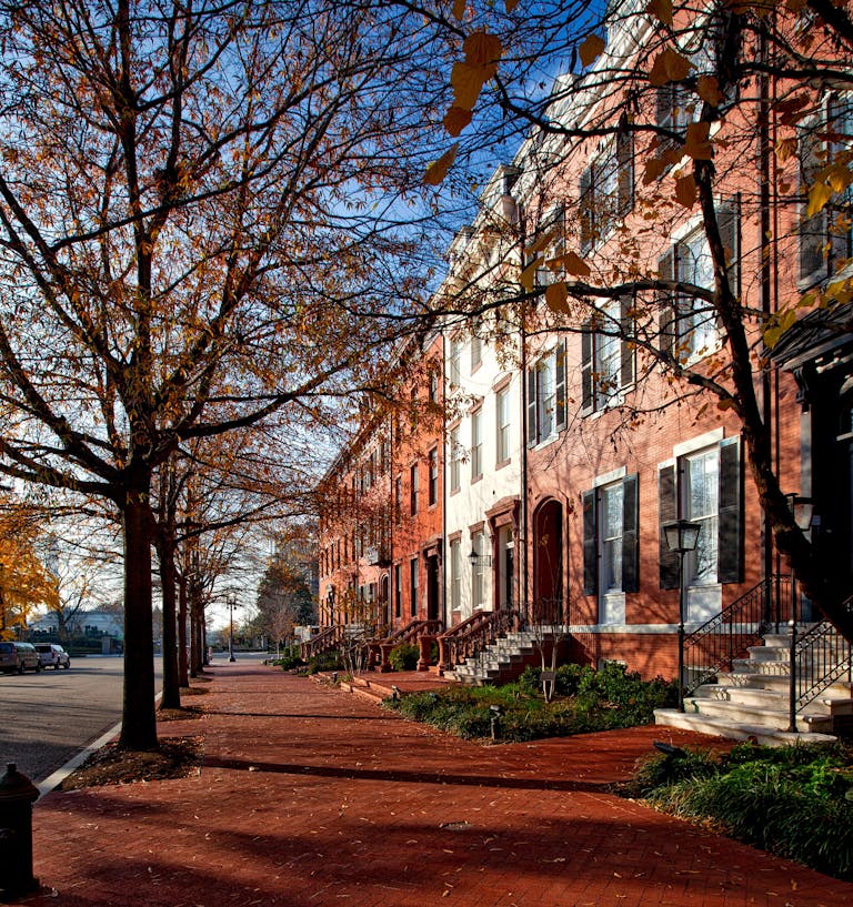 Brown Leaf Tree and fall foliage Near Brown Wall in Georgetown