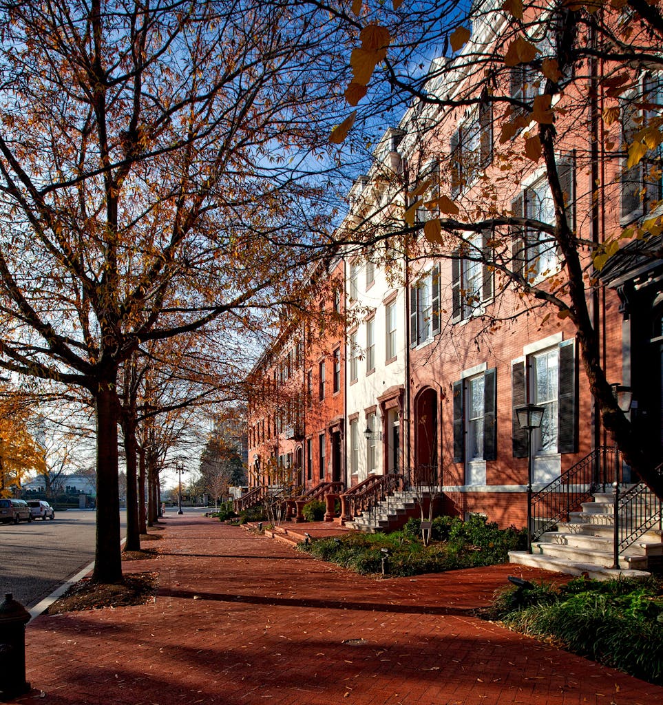 Brown Leaf Tree and fall foliage Near Brown Wall in Georgetown