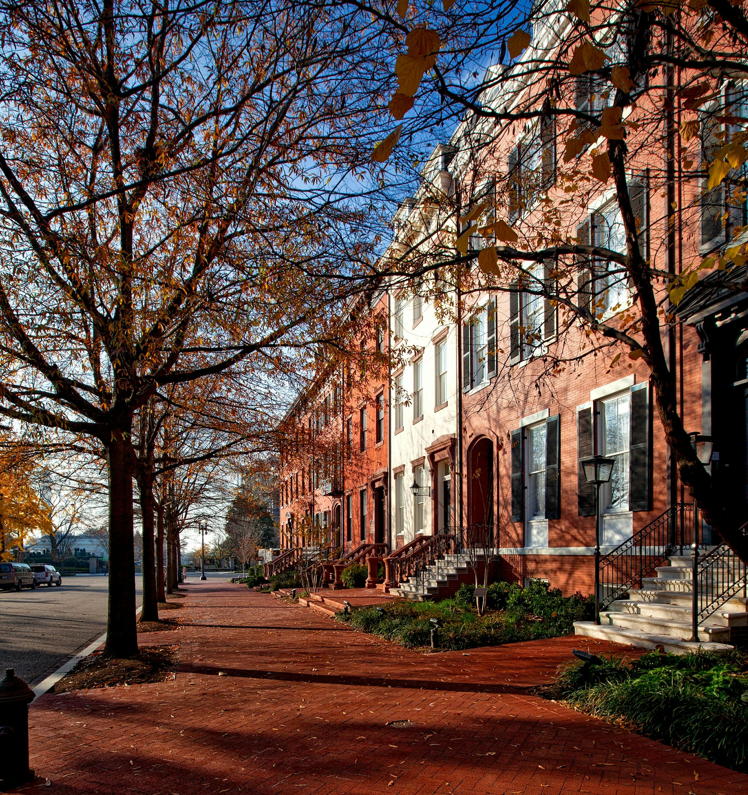 Brown Leaf Tree and fall foliage Near Brown Wall in Georgetown