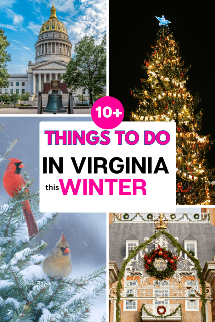 text says 10+ things to do in Virginia this winter. Images include a bird in a snowy tree, a wreath on a building in virginia, a christmas tree, and a fesitive decorated state building