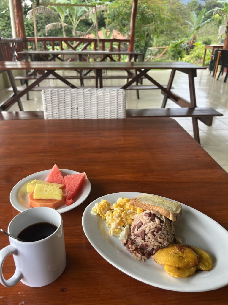 a plate of local traditional Costa Rican food