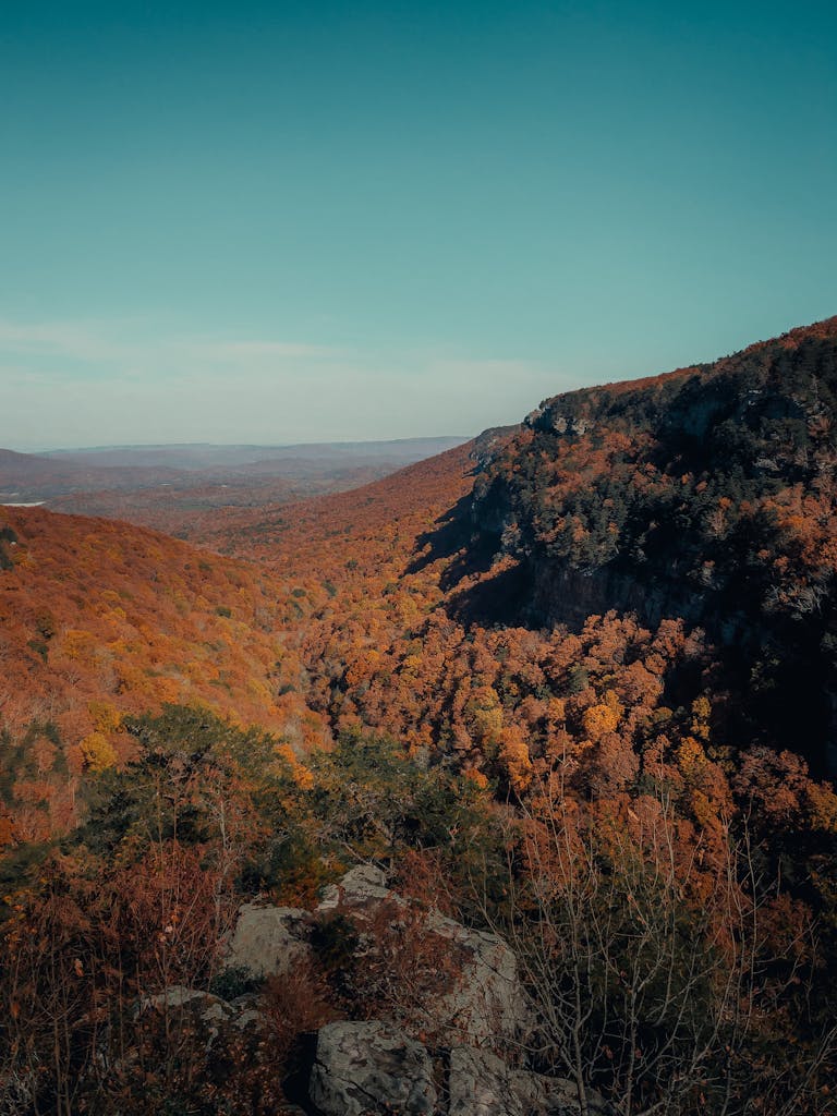 Changing Colors of Mountain Forest Trees During Autumn