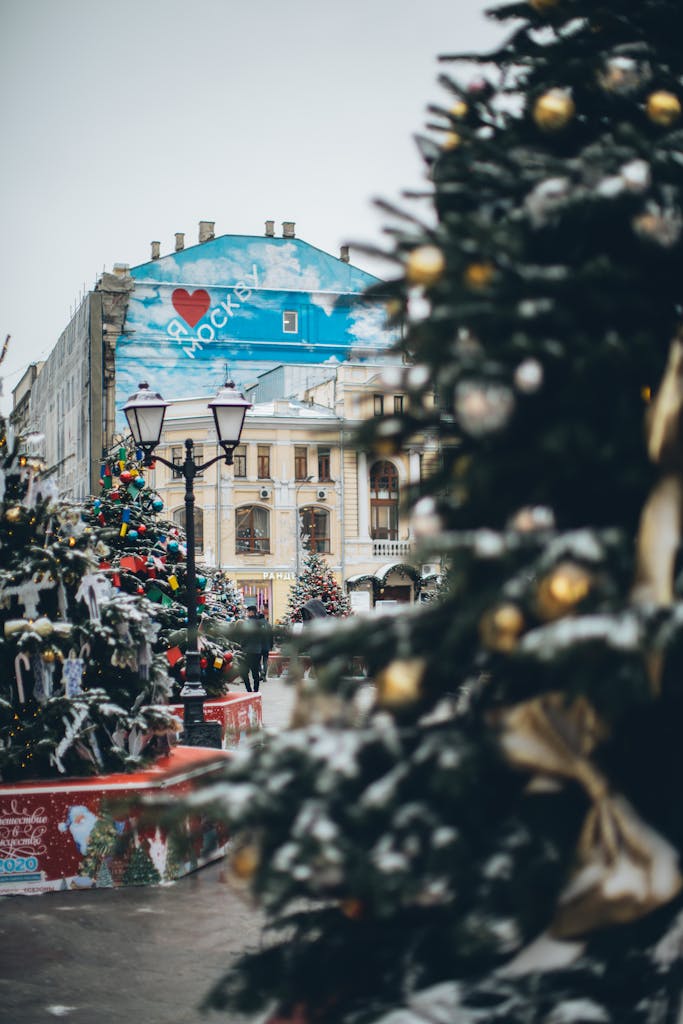 Christmas trees with ornaments in city