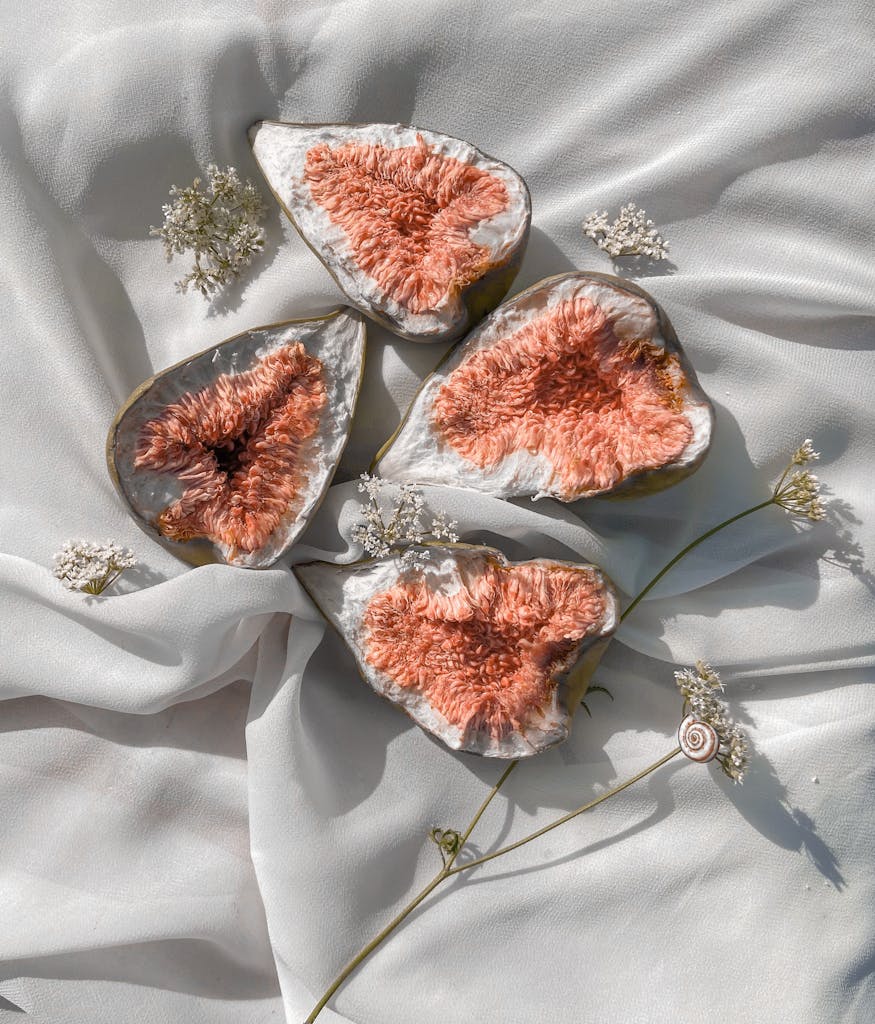 Composition of halves of figs with dried flowers