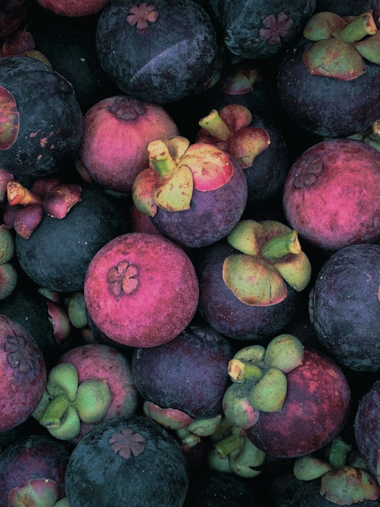 From above heap of ripe fresh exotic purple mangosteen fruits gathered from garden