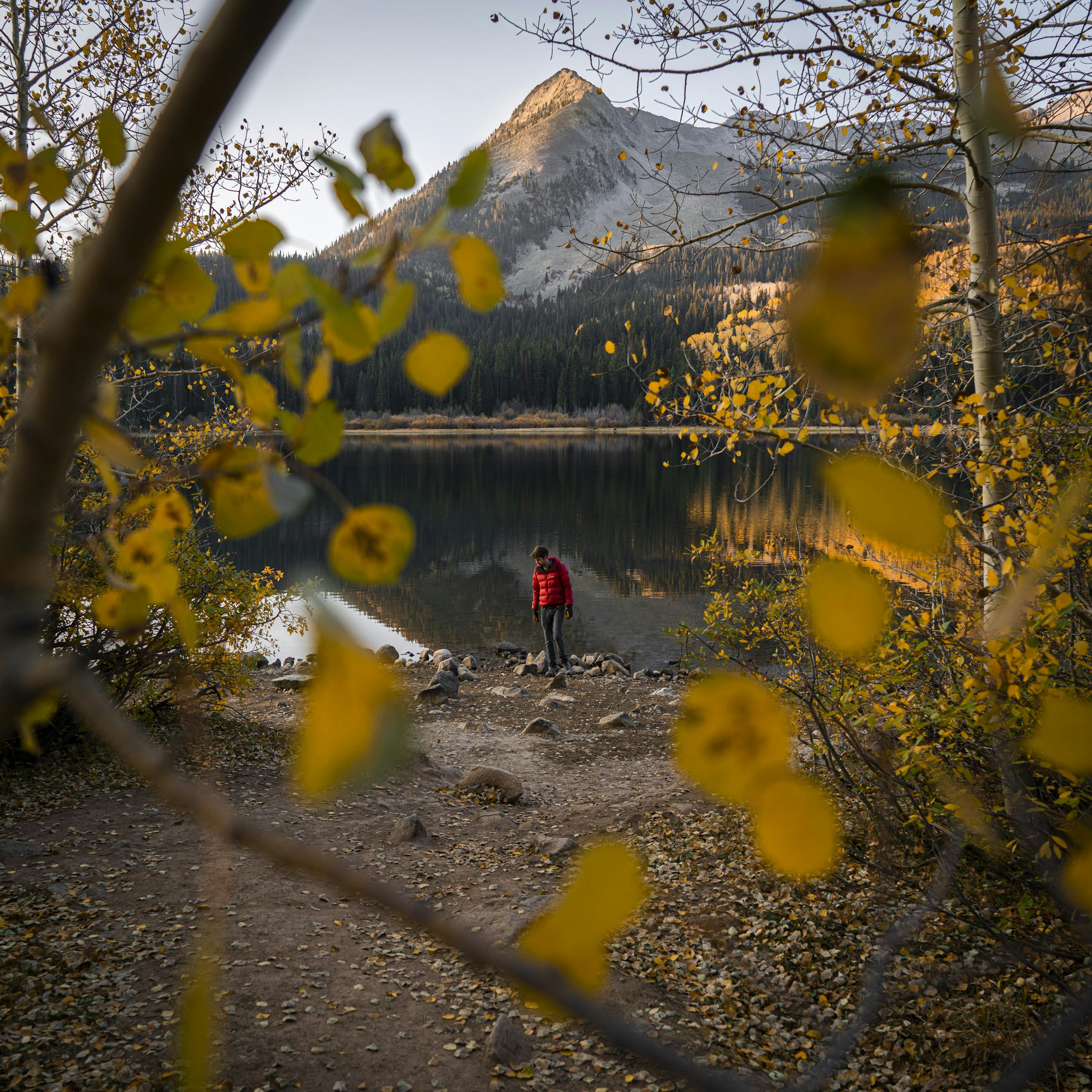 Person in Red Jacket Standing Near the Lake