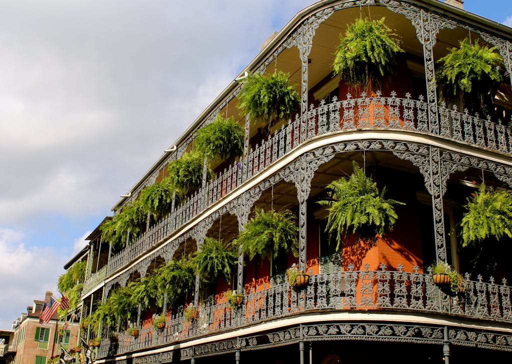 White High-rise Building With Green Leaf Hanging Plants