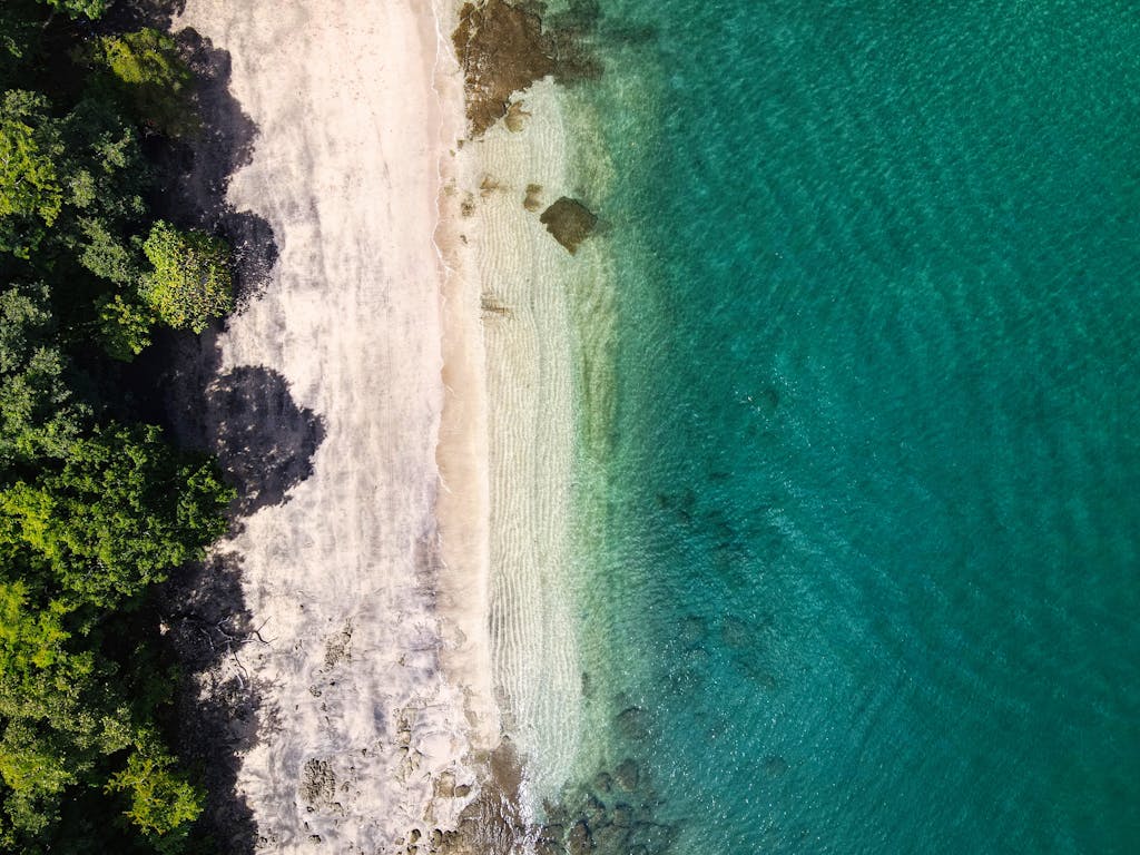 Aerial Photography of a Beach