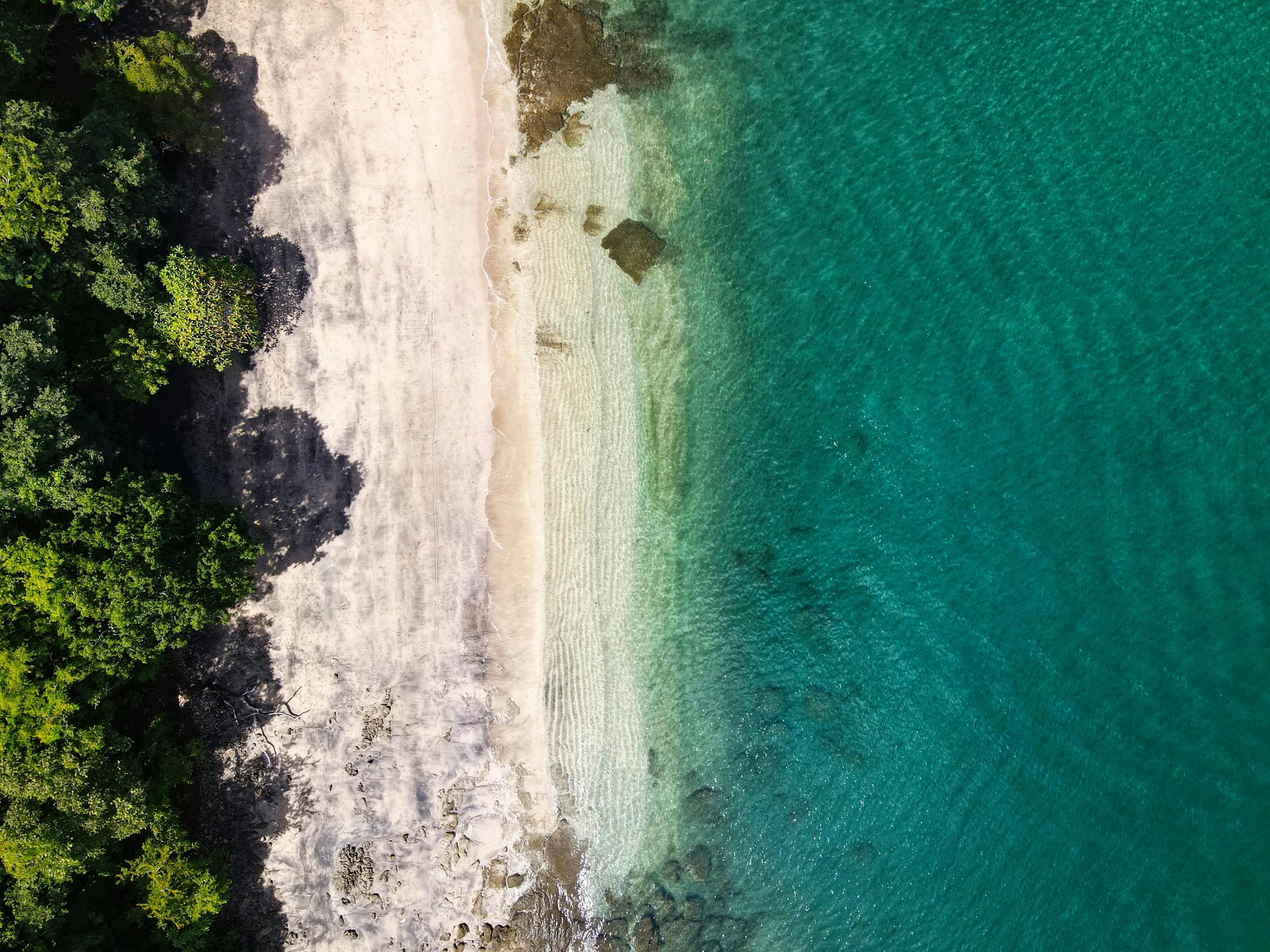 Aerial Photography of a Beach