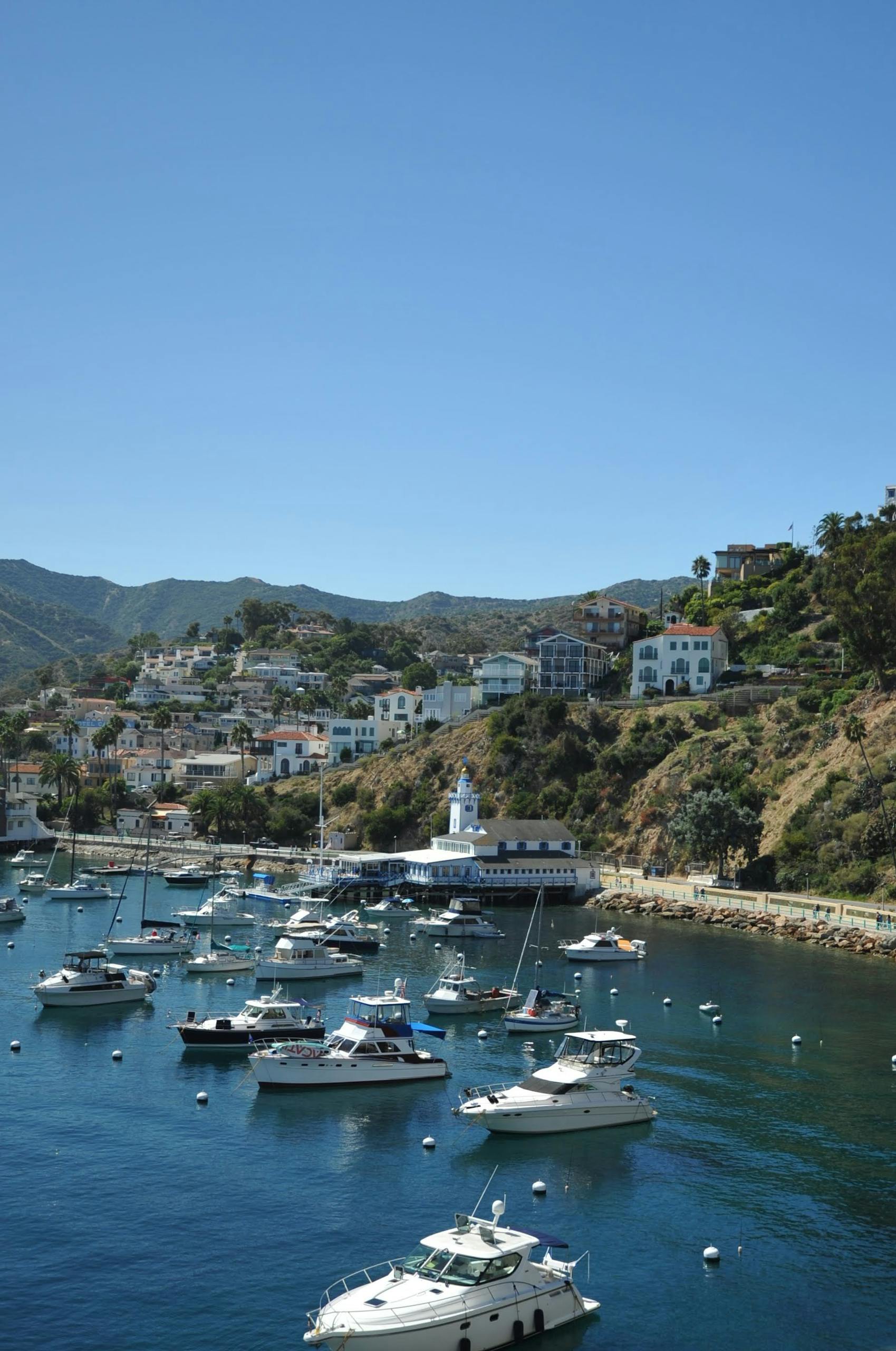 Motor Yachts in Town in Summer