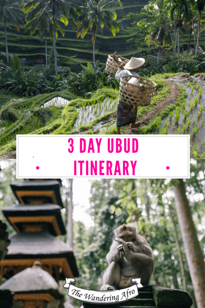 top image are green rice paddies in Ubud. Woman is carrying straw or wooden basket. Pin reads " 3 Day Ubud Itinerary"